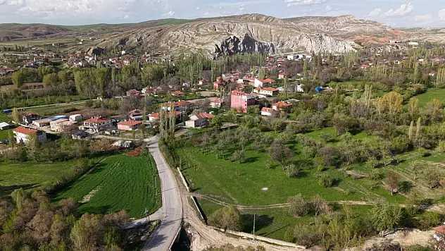 Kayseri'de kayıp düve drone ile bulundu