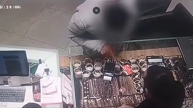 Kayseri'de kedilere yardım etmek isterken binlerce lirasından oldu