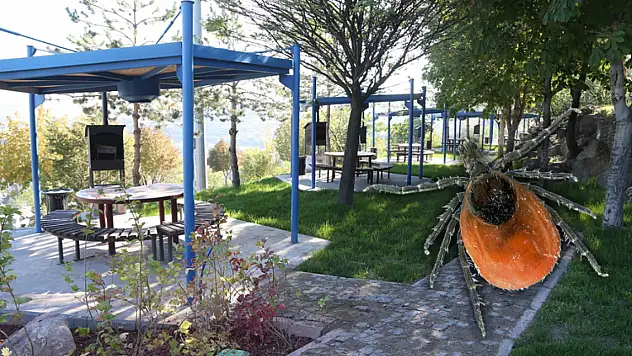 Kayseri'de kene korkusu – Mesire alanları boş kaldı!