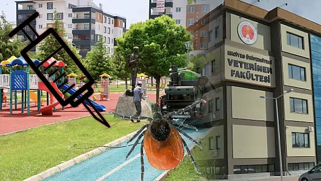 Kayseri'de kene önlemi: Vatandaş tedirgin – Gelişmeler olumlu!