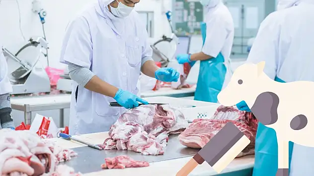 Kayseri'de kesim fiyatları açıklandı mı?