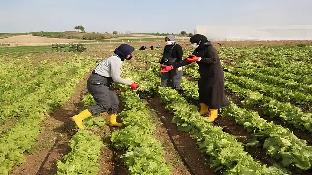 Kayseri'de kooperatiflere kırsal kalkınma desteği!