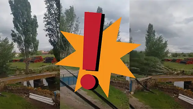 Kayseri'de köylüler ayakta! Yılların simgesi ağaçlar bir bir kesiliyor