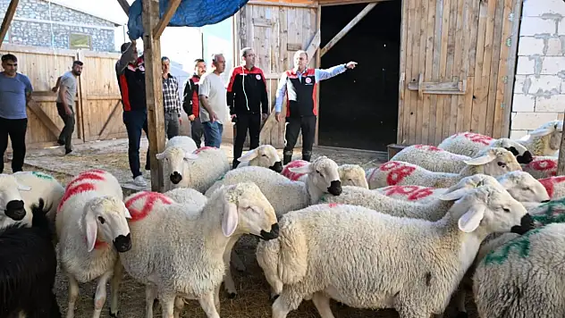 Kayseri'de küçükbaş hayvancılık işletmesinde dikkat çeken ziyaret!