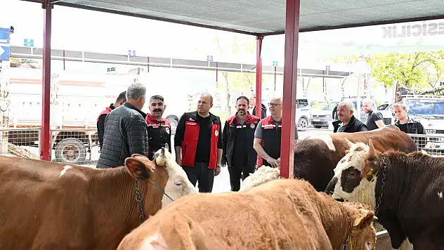 Kayseri'de kurban pazarına yakın markaj! Bayram öncesi sahaya inildi