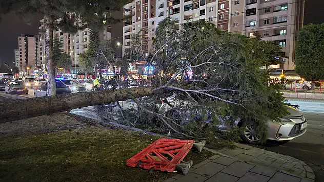 Kayseri'de kuvvetli rüzgar: Ağaç otomobilin üzerine devrildi!