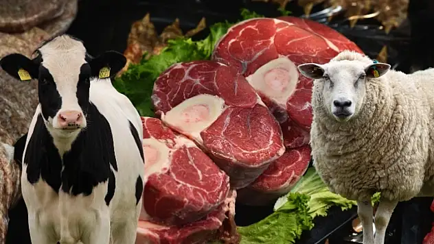 Kayseri'de kuzu etine büyük zam! Dana etinde sürpriz indirim