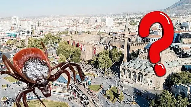 Kayseri'de masaları bir anda kene doldu: Vatandaşlar neye uğradığını şaşırdı!