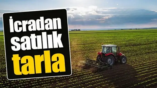 Kayseri'de milyonluk tarla ihaleyle satılacak!