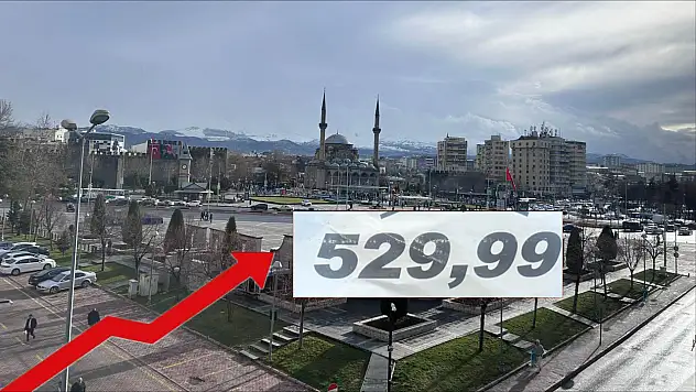 Kayseri'de O Meyve Lüks Oldu: Kilosu 529,99 TL