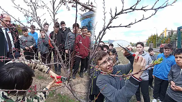 Kayseri'de öğrencilerle fidan budama etkinliği yapıldı
