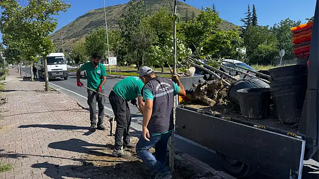 Kayseri'de ömrünü tamamlayan ve yıpranan ağaçların yerine yenileri dikiliyor