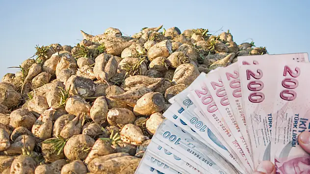 Kayseri'de pancar fiyatı belli oldu: Üretici hayal kırıklığına uğradı!