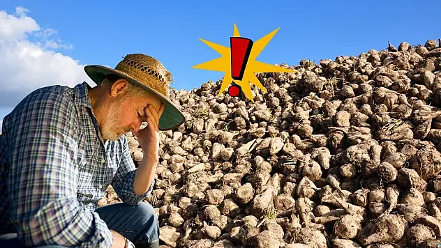 Kayseri'de pancar mesaisi… Çiftçiler diken üstünde!