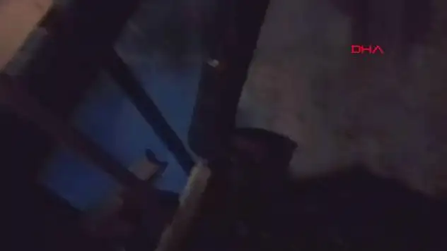 Kayseri'de pet shopta yangın çıktı - İş yeri sahibi yaralı!