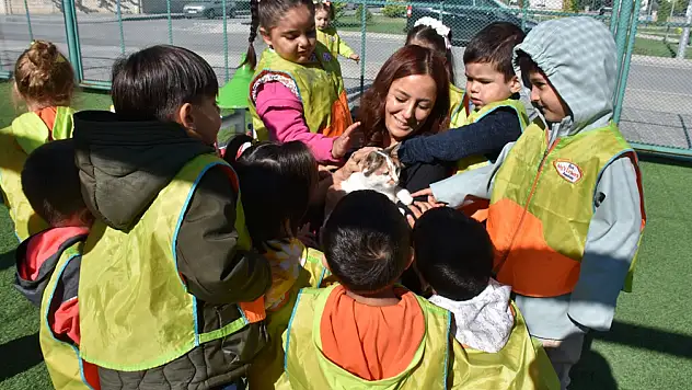 Kayseri'de rekor ilgi! ''Küçük Dostlar Kedi Kasabası'' 65 bin ziyaretçiye ulaştı