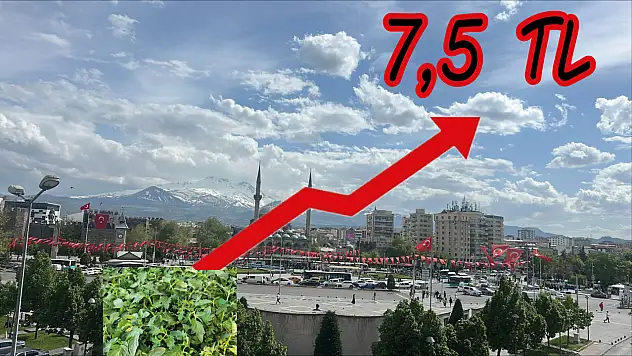 Kayseri'de Satışa Çıktı - Adet Fiyatı 7,5 TL Oldu!