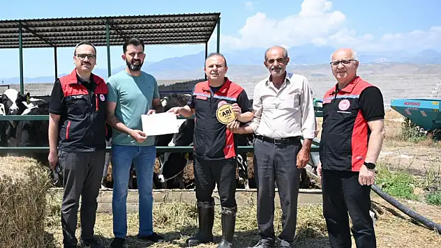 Kayseri'de sayıları artıyor: Hayvancılık alanında gururlandıran başarı!