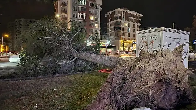 Kayseri'de şiddetli rüzgar bekleniyor: Meteoroloji saat verdi!