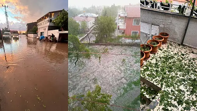 Kayseri'de şiddetli yağış tarım arazileri ve meyve ağaçlarına zarar verdi