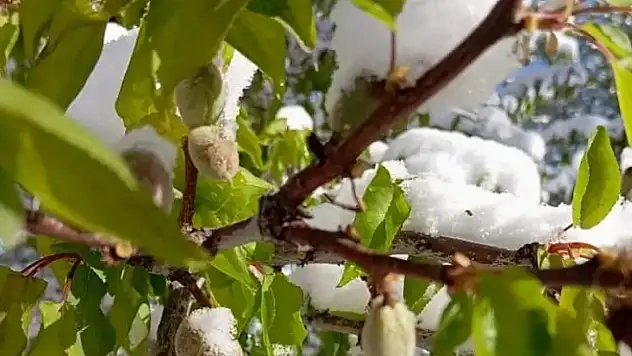 Kayseri'de soğuk hava sert vuracak: Zirai don bekleniyor!