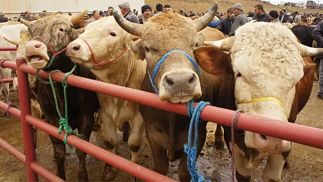 Kayseri'de son bayram sahnesi!