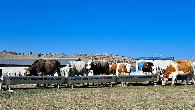 Kayseri'de su faturası desteği dijitale taşındı