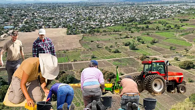 Kayseri'de tarım alanı sit alanı oldu!