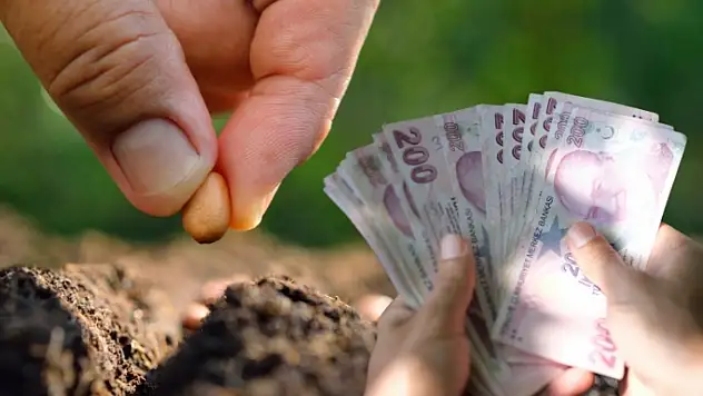 Kayseri'de tarım için yeni destek paketi: Hangi ürünlere hibe verilecek?