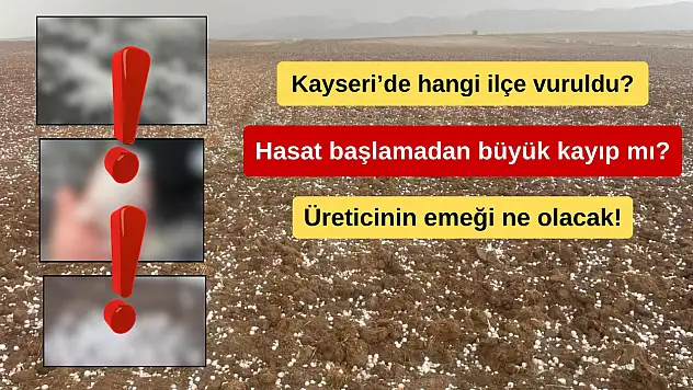 Kayseri'de tarımı vuran yağış! Bahçelerde hasar alarmı...