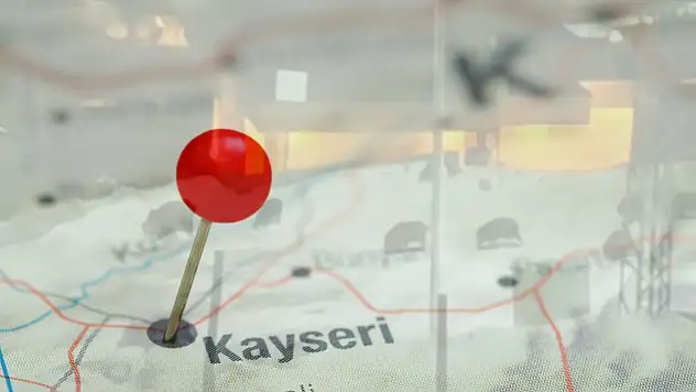 Kayseri'de tedirgin saatler - Domuz sürüsü merkeze indi!