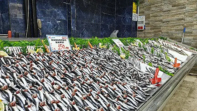 Kayseri'de tezgahlar şenlendi - Bakın Kayserililer en çok hangi balığı tercih ediyor?