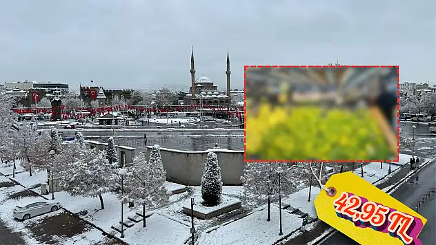 Kayseri'de tezgahlardaki yerini aldı – Kilosu 42,95 TL den satılıyor!