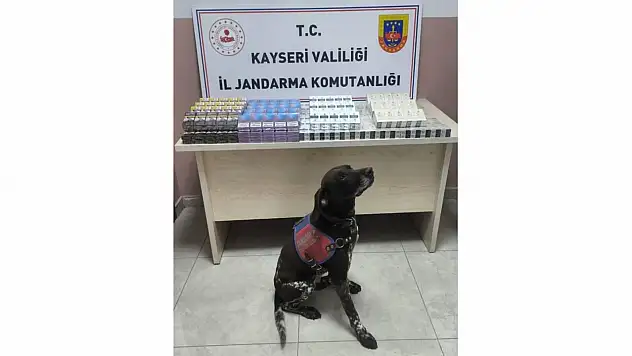 Kayseri'de tırdan 560 paket kaçak sigara ele geçirildi