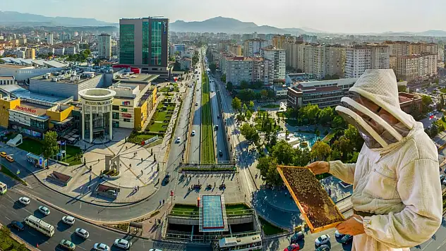 Kayseri'de ücretsiz 'Arıcılık' kursu başlıyor!