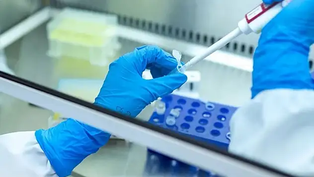 Kayseri'de ücretsiz kanser taraması yapılacak: Tarih belli oldu