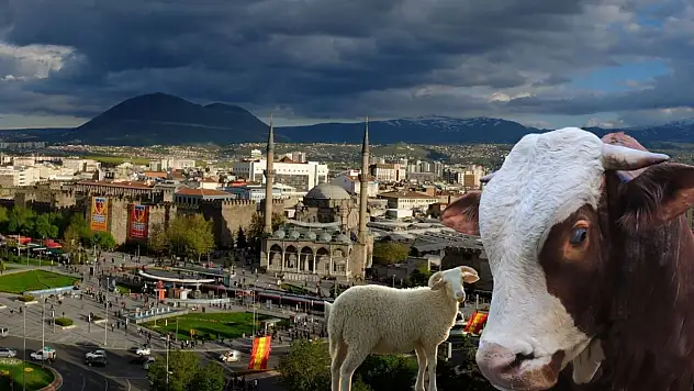 Kayseri'de ücretsiz kurban kesim kursu başlıyor!