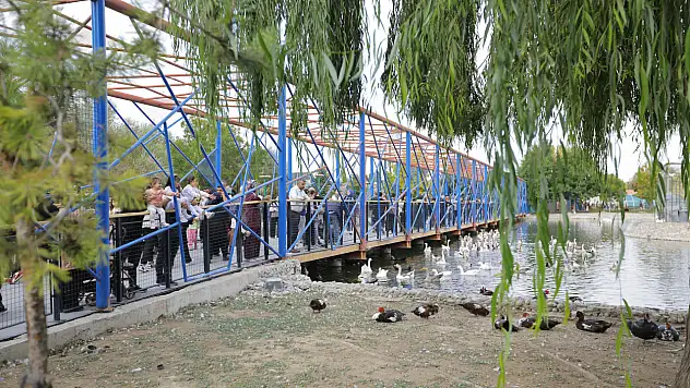 Kayseri'de ücretsiz olunca akın ettiler: Bir günde yoğunluk yaşandı!
