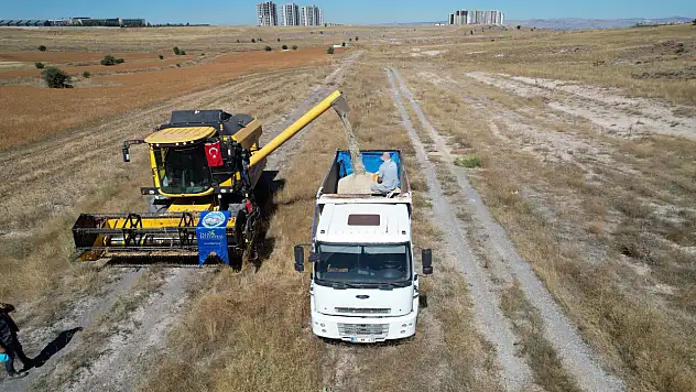 Kayseri'de üretilen aspir yağı ihtiyaç sahiplerine verilecek