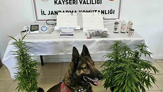 Kayseri'de uyuşturucu operasyonu düzenlendi