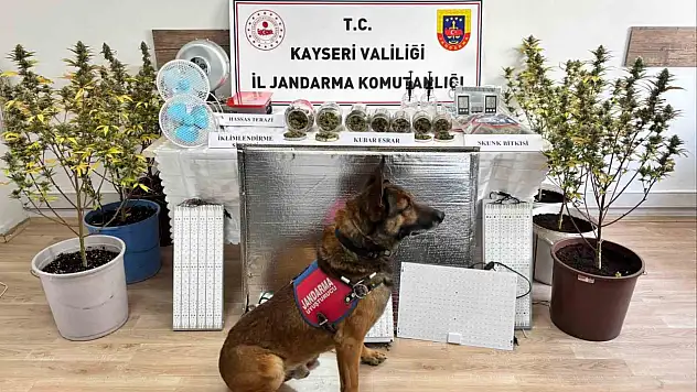 Kayseri'de narkotik operasyonu: Evden uyuşturucu ve düzenek çıktı