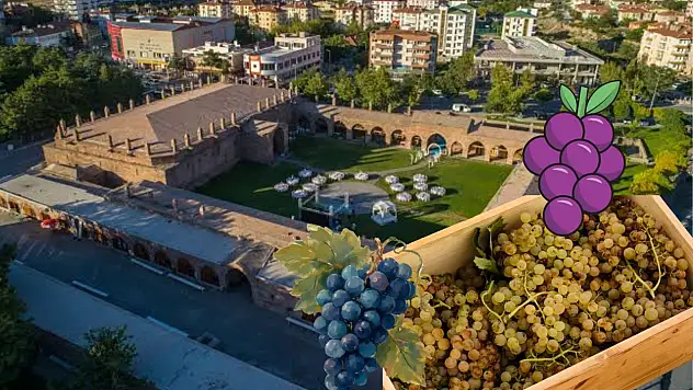 Kayseri'de Üzüm Festivali başlıyor: Yerel üreticilere duyuru!