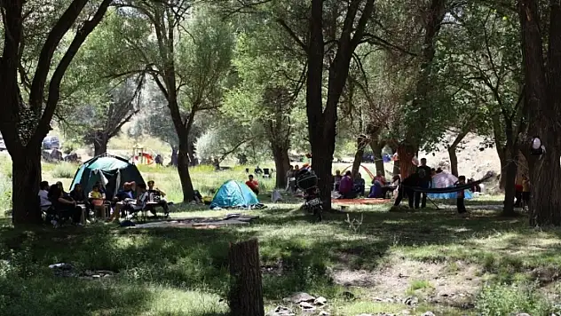 Kayseri'de yayla şenliği coşkusu! Çocuklar eğlendi, vatandaşlar akın etti
