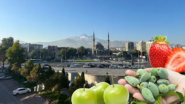 Kayseri'de yaz aylarının müjdecileri kendini fiyatları ile gösterdi!