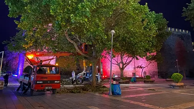 Kayseri'de yaz mesaisi başladı! Büyükşehir ekipleri 7/24 sahada