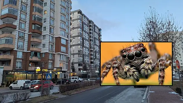 Kayseri'de yazın ortasında şikayetler arttı! Belediye ücret karşılığında çözüm sunuyor