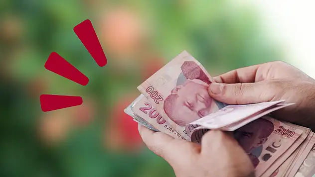 Kayseri'de yeni gelir kapısı! Kilosu cep yakan üründe ilk hasat