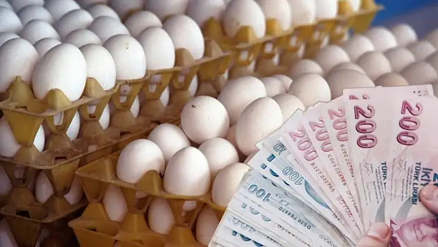Kayseri'de yumurta fiyatlarına rekor zam!