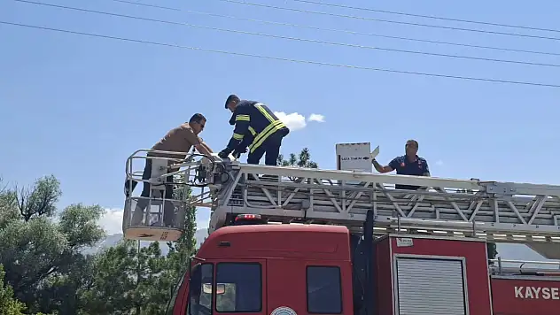 Kayseri'de yürek burkan ihbar! 3 gündür bekleyen yavrular son anda kurtarıldı