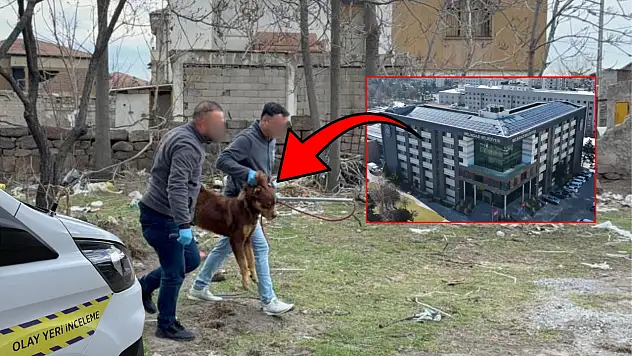 Kayseri'de yürekleri ağza getiren olayın perde arkası: Belediye iddialara yanıt verdi!